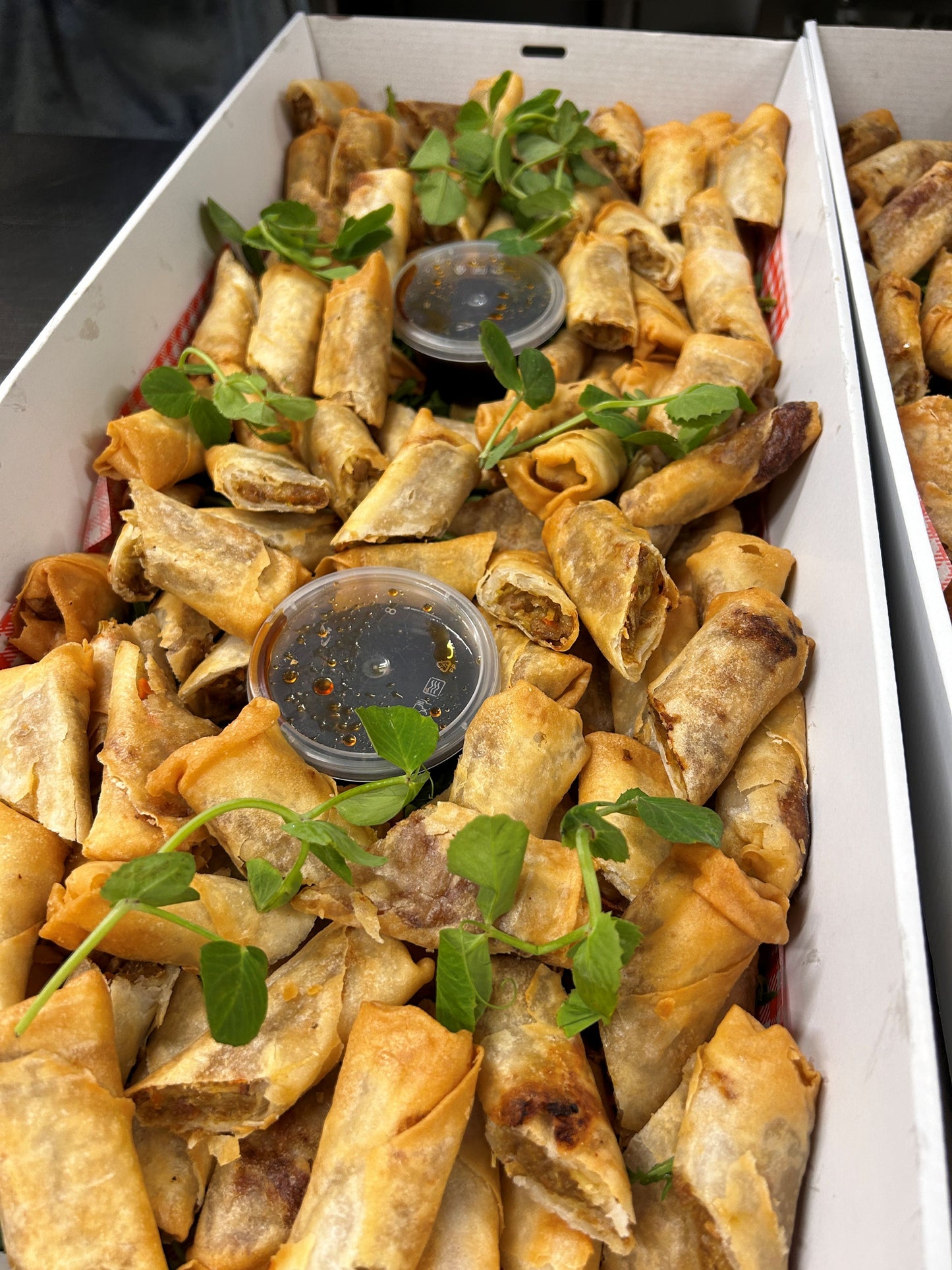 Duck Spring Rolls with Dipping Sauce